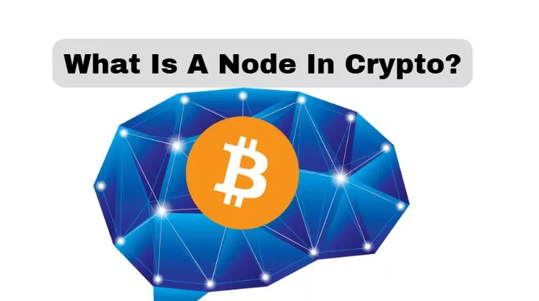 What Is A Node In Crypto?